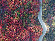 Scenery of red leaves of Changshou Mountain in Zhulin, China's Henan