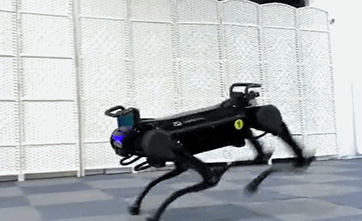 Chinese university releases new-generation robot dog