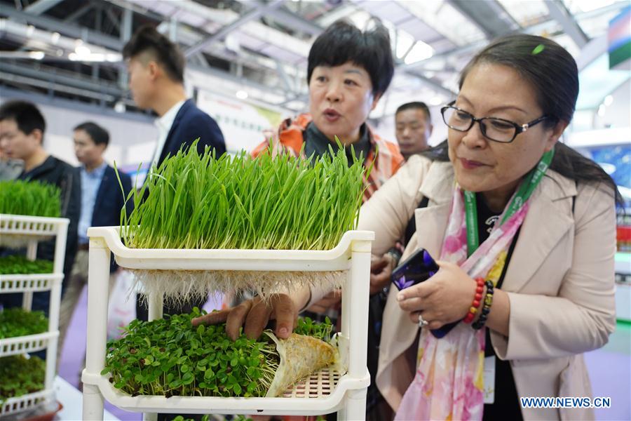 17th China Int'l Agricultural Trade Fair kicks off in Jiangxi