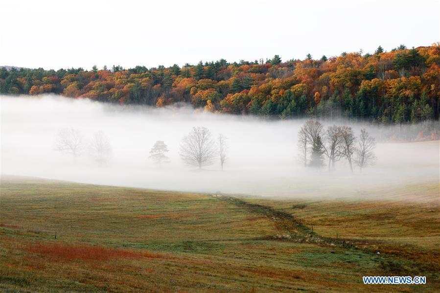 Autumn scenery in Vermont, U.S.