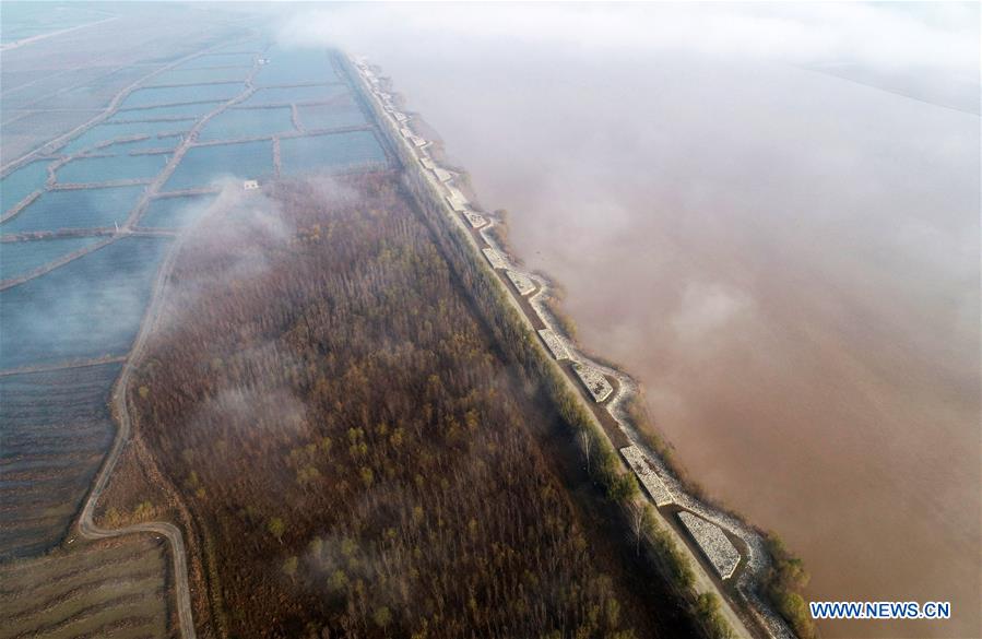 Yellow River wetland in China's Shaanxi