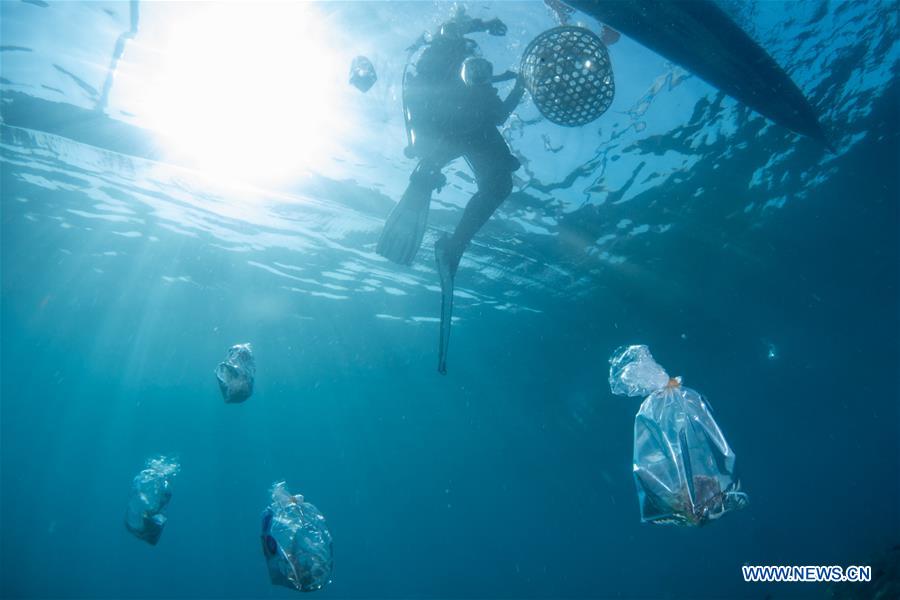 Researchers dedicated to coral rehabilitation in Celukan Bawang, Indonesia