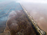 Yellow River wetland in China's Shaanxi