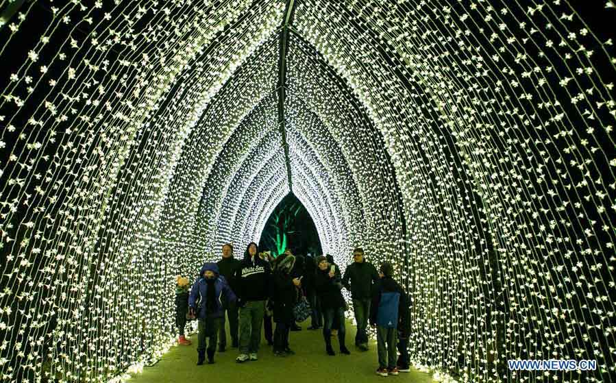 Lightscape exhibit held at Chicago Botanic Garden, U.S.