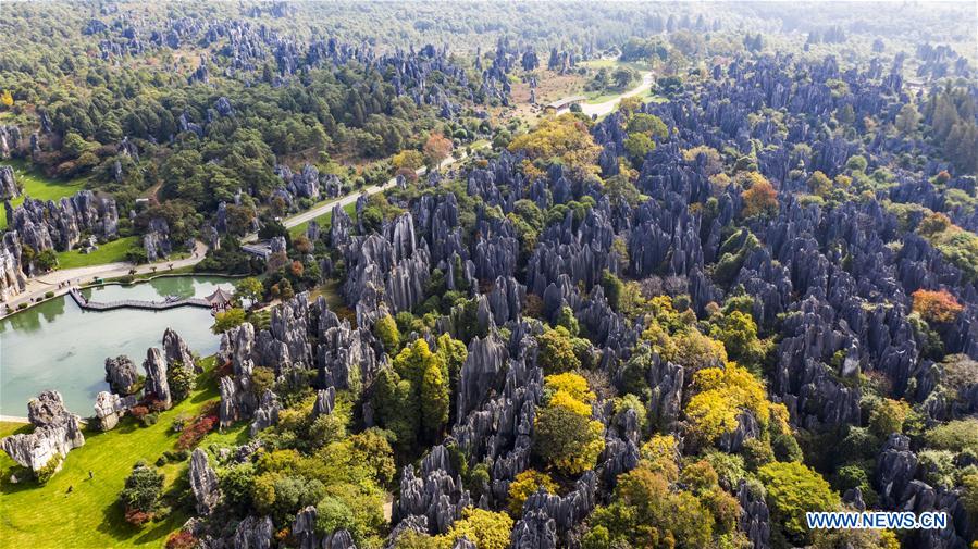 Scenery of Shilin scenic zone in SW China's Yunnan
