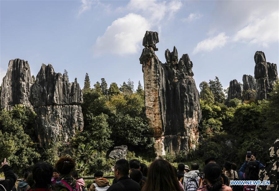 Scenery of Shilin scenic zone in SW China's Yunnan