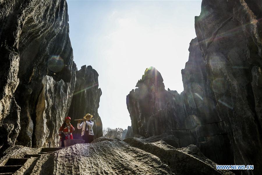 Scenery of Shilin scenic zone in SW China's Yunnan