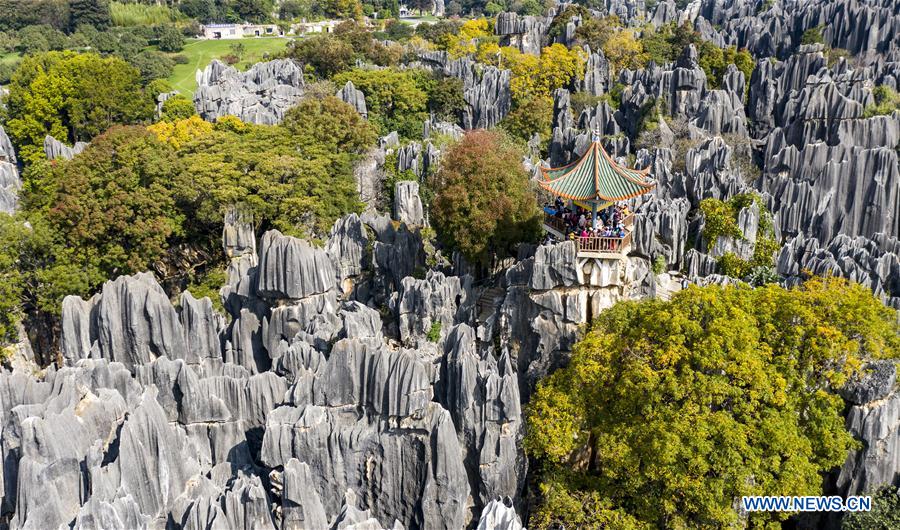 Scenery of Shilin scenic zone in SW China's Yunnan