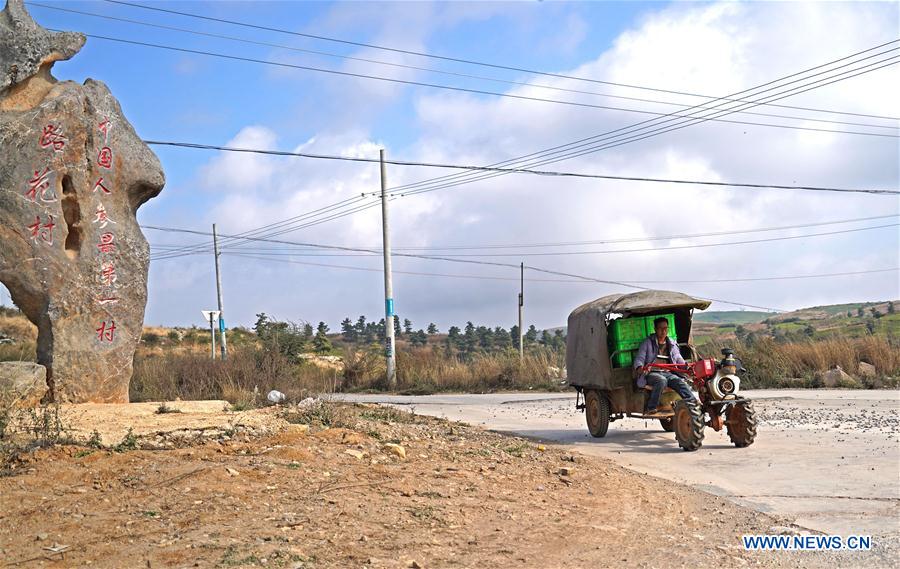 Pepino melon planting industry helps villagers get rid of poverty in SW China's Yunnan