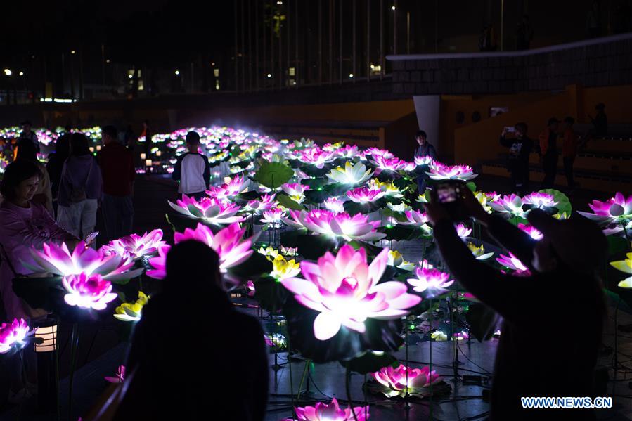2019 Macao Light Festival held in south China