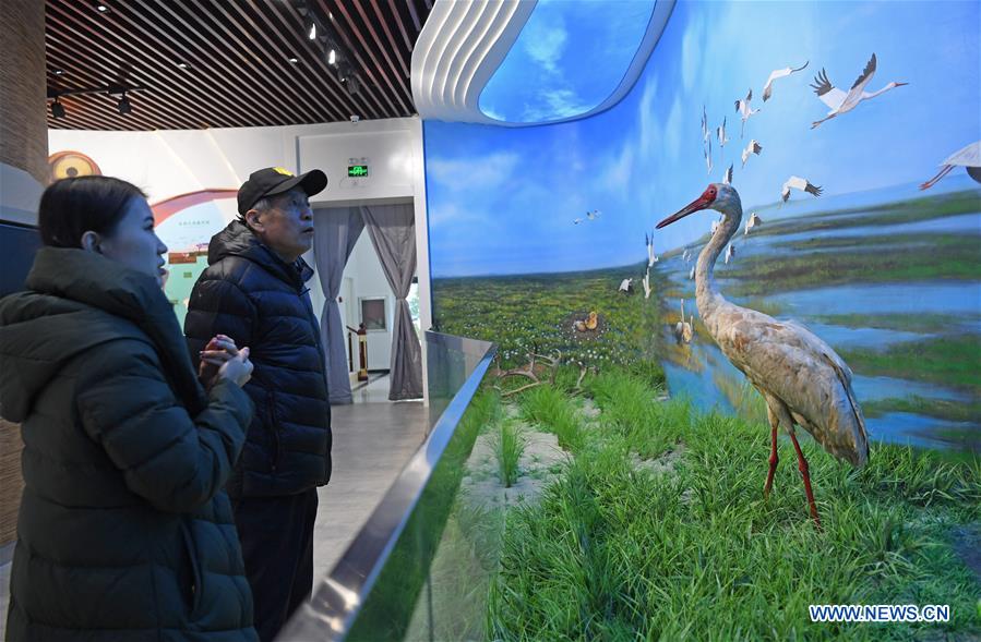 Publicity and education center themed on protection of wetland opens to public in Jiangxi
