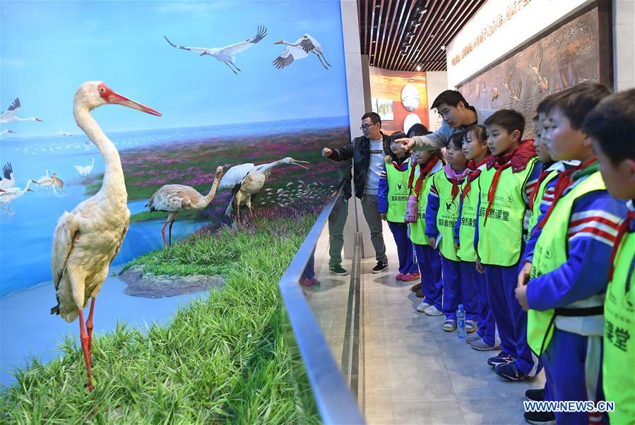Publicity and education center themed on protection of wetland opens to public in Jiangxi