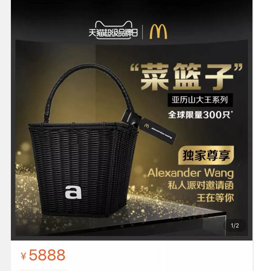 basket alexander wang
