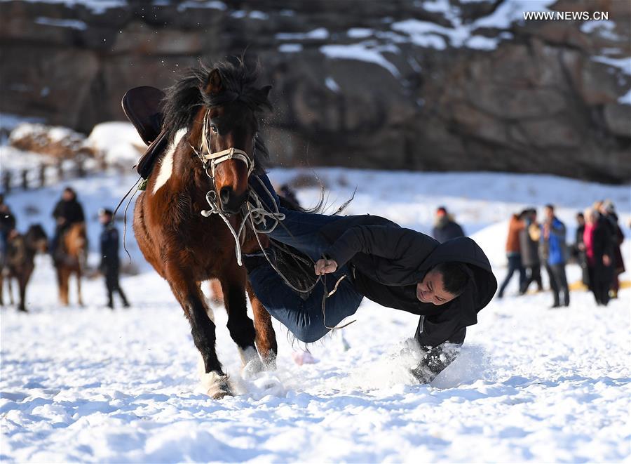Sawur cultural tourism festival on animal husbandry held in NW China's Xinjiang