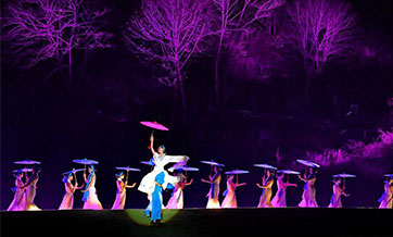Artists perform during charity show in Wuyishan City, China's Fujian