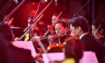 New Year concert held in Lhasa, China's Tibet