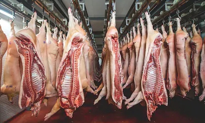 China lowers import tariff for frozen pork