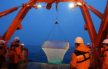 China's 36th Antarctic expedition team collect fish samples