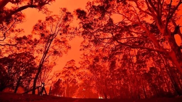 Hundreds arrested for deliberately setting fires as Australian bushfires continue to rage