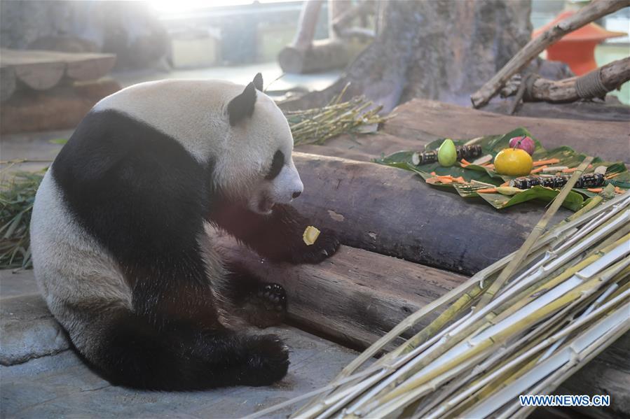 Staff members make dumpling-shaped food for giant pandas in Haikou