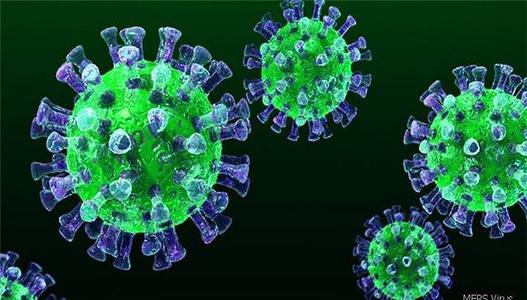 Novel coronavirus not a type of SARS, experts say