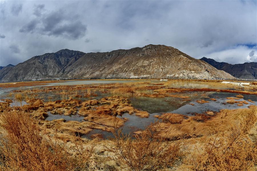 Scenery of Lhalu wetland, 