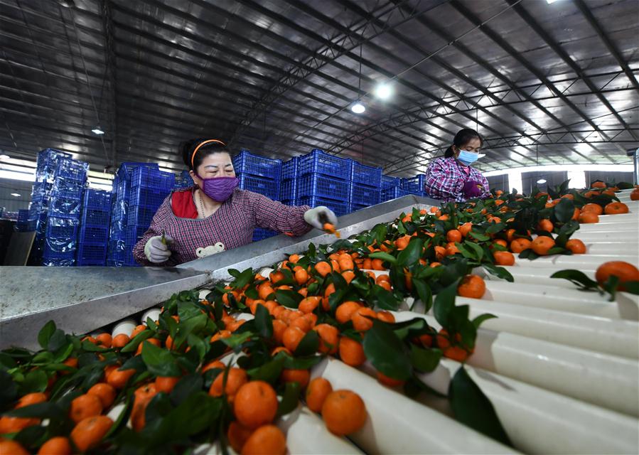 Enterprises step up efforts to resume production amid prevention measures in Liuzhou, S China's Guangxi
