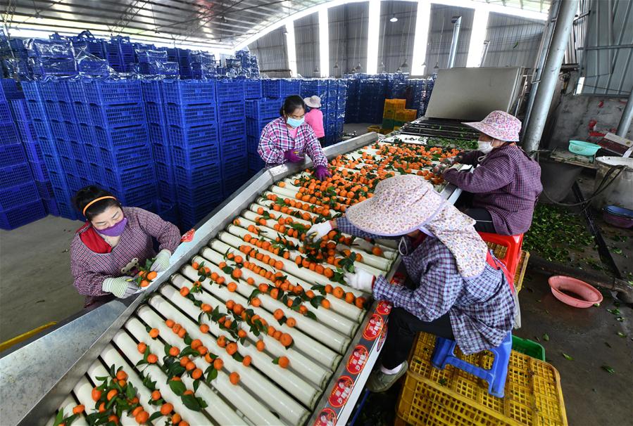 Enterprises step up efforts to resume production amid prevention measures in Liuzhou, S China's Guangxi