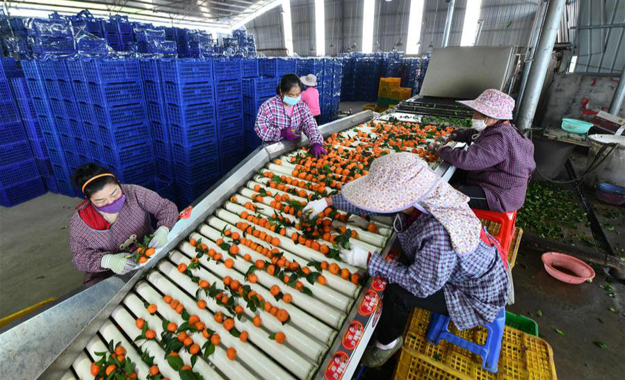 Enterprises step up efforts to resume production amid prevention measures in China's Guangxi