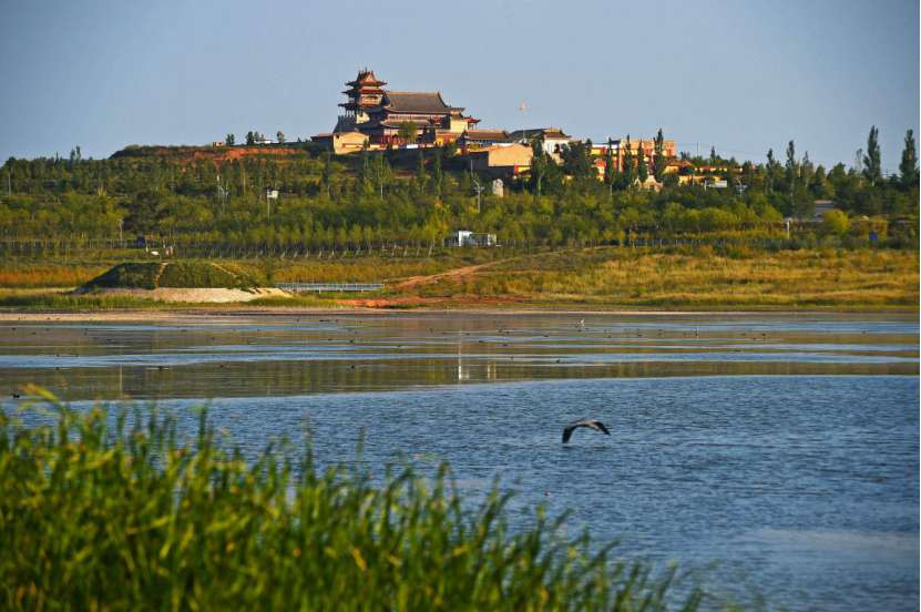 Wetlands thrive in desert in Ningxia’s Yanchi county