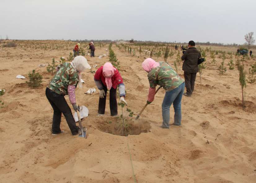 Wetlands thrive in desert in Ningxia’s Yanchi county