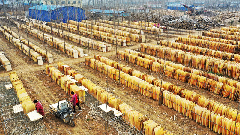 Micro-factories helping impoverished laborers find jobs near home