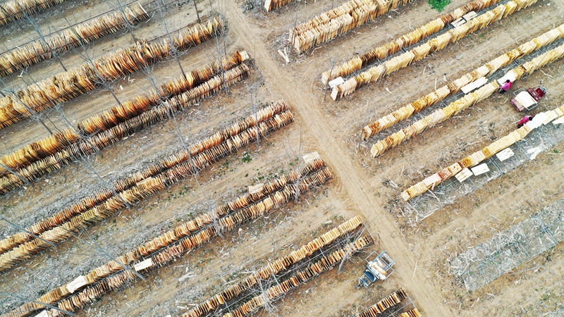 Micro-factories helping impoverished laborers find jobs near home