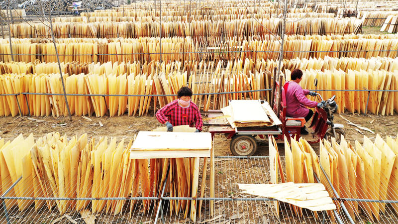 Micro-factories helping impoverished laborers find jobs near home