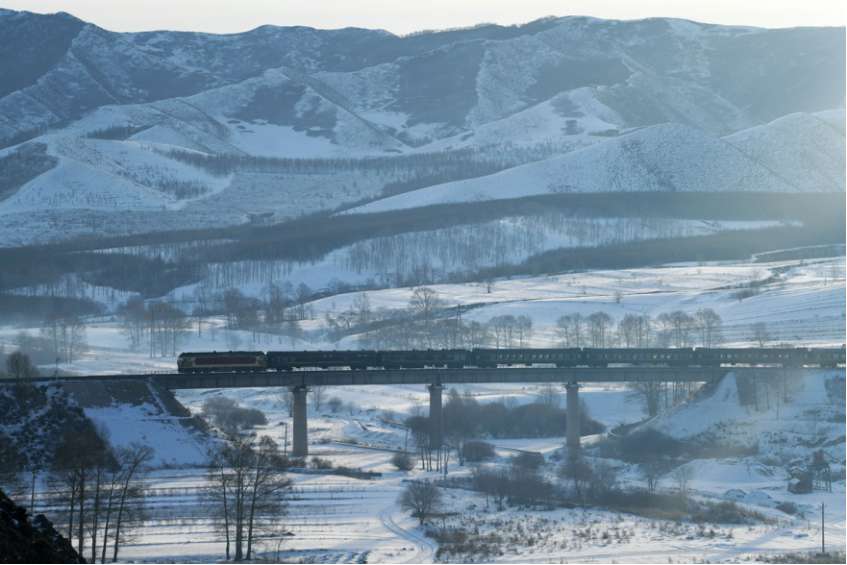 Inner Mongolia launches tree-planting campaign to tame desertification