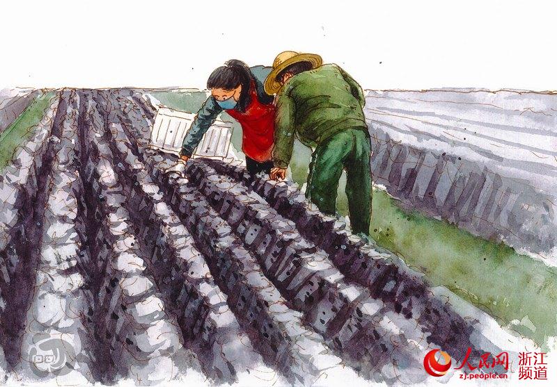 Chinese county speeds up mushroom farming amid epidemic