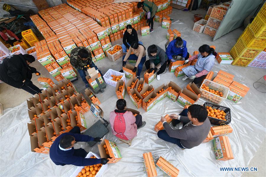 Guangxi develops industries that cater to local conditions in poverty-stricken areas