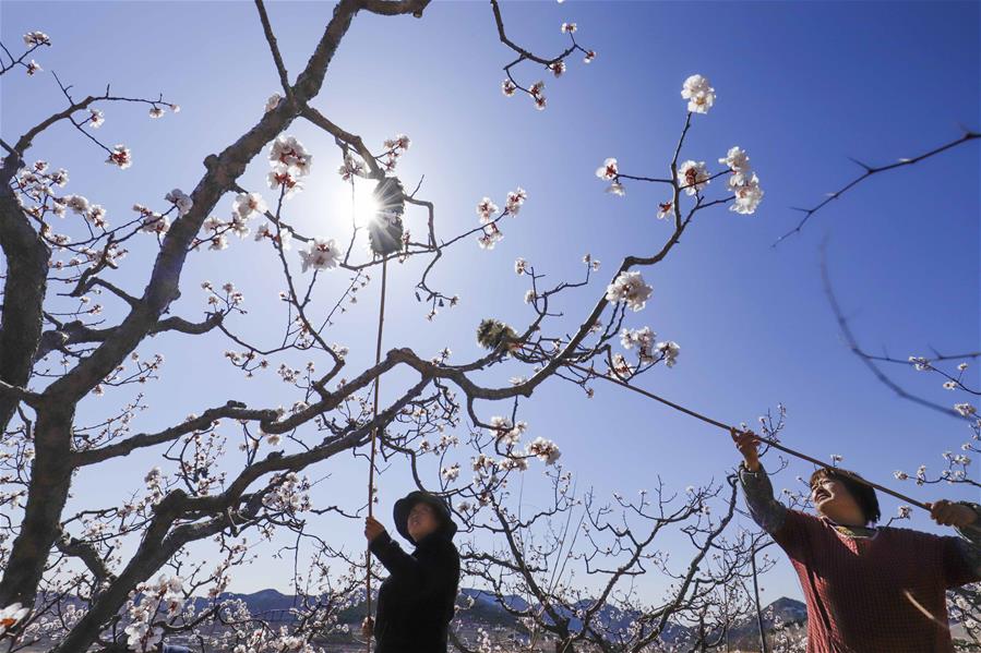 Farmers work in field across China