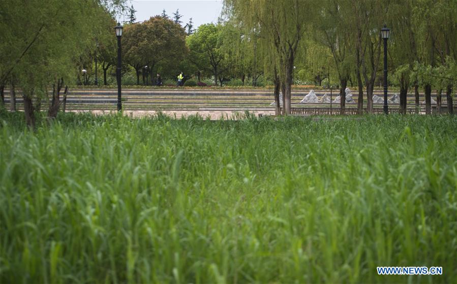 Normal life in Wuhan gradually resumes