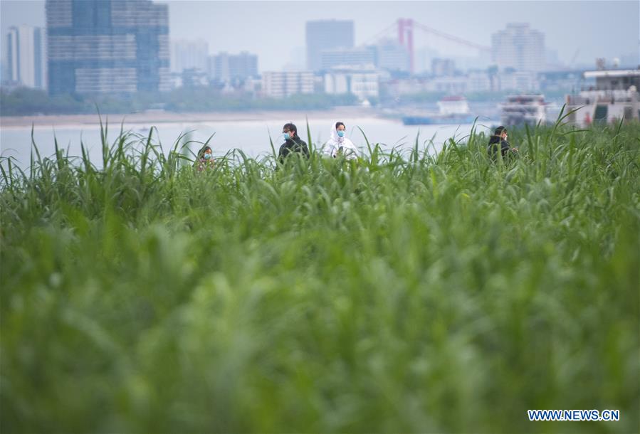 Normal life in Wuhan gradually resumes