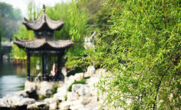 Spring scenery along moat in Jinan, east China