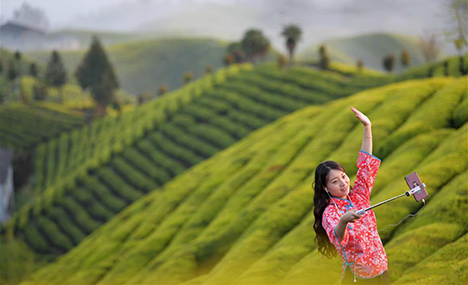 Tea producers collaborate with e-commerce platform to boost sales 