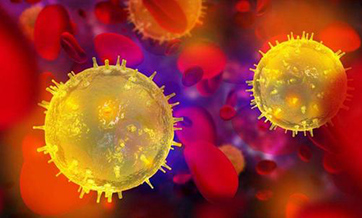 COVID-19 fatality rate estimated to be 10 times higher than influenza: WHO chief