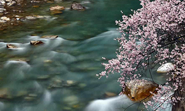 View of Zayu County in southwest China's Tibet