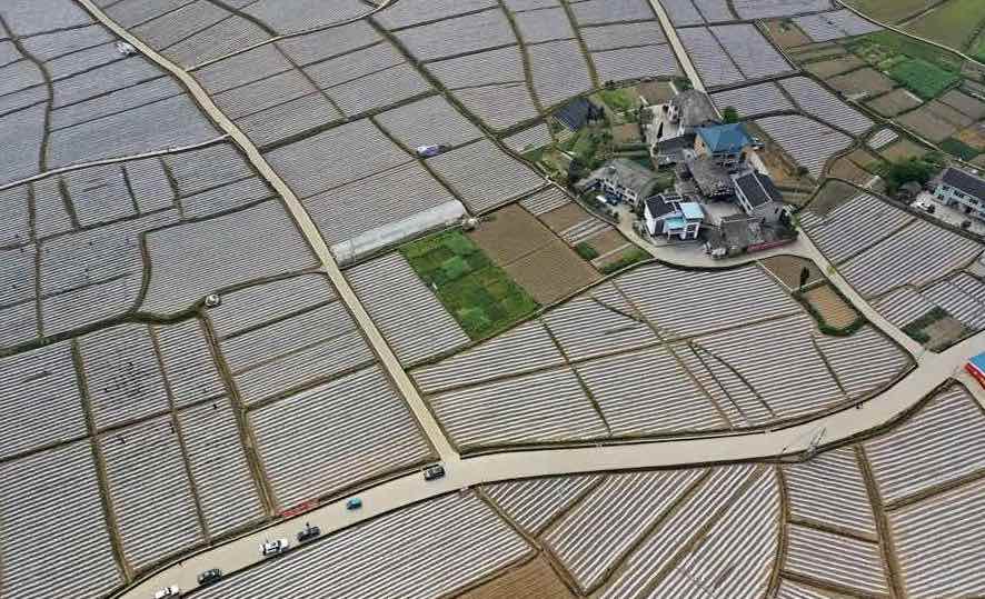 Agricultural production resumed in Guizhou