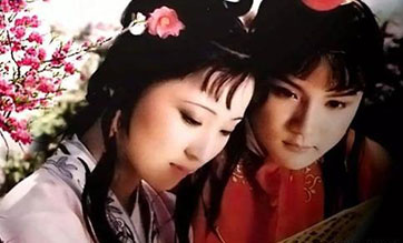 Dream of the Red Chamber: A book for eternity