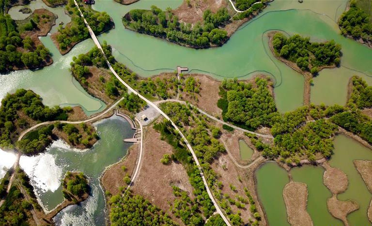 Aerial view of wetland park in E China