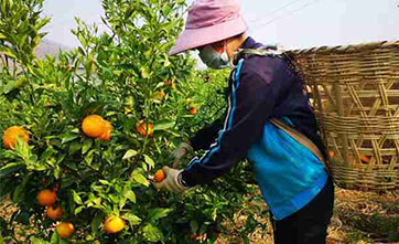 Consumption speeds up poverty alleviation in China