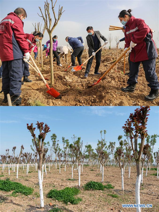 CHINA-HUBEI-COVID-19-MEDICAL WORKERS-GROVE (CN)