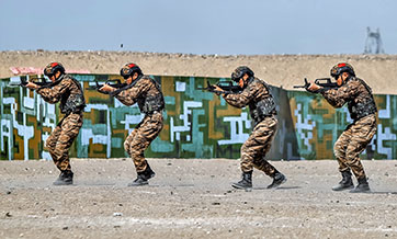 PAP soldiers in counter-terrorism operations
